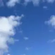 ゆの画像