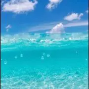 キラキラの画像