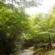 Imimの画像