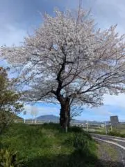 とむさんのおもちゃ部屋の画像