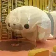 もめんの画像