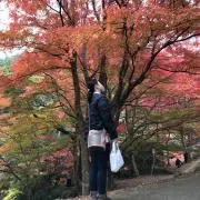 こむすびの画像