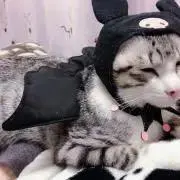 はる