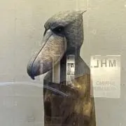 ハシビロコウの画像