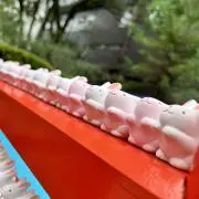 アリス