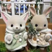 シキの画像