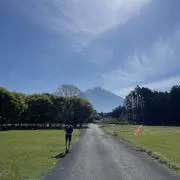 MTの画像