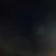 せいの画像