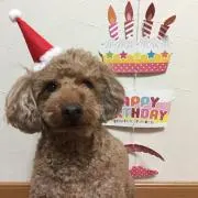 あおゆうの画像