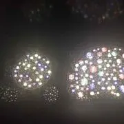ちょこの画像