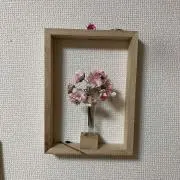 まるまるの画像