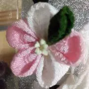 Pirorinの画像