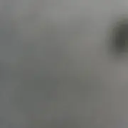 46の画像