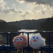まひろ