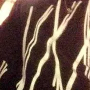 ハニービー
