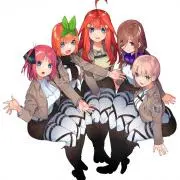 Y.U.M