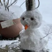はち