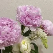 ゆんの画像