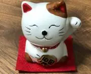 ひろたん4427
