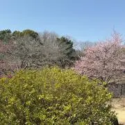 蒲田焼うなぎ