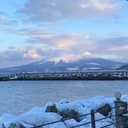 ヒーツの画像