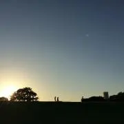 figの画像