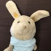 チャイの画像