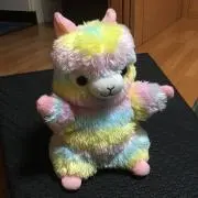 あるちゃんの画像