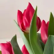 N◎プロフィール必読の画像
