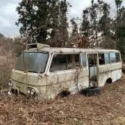 ちゃむちゃむ