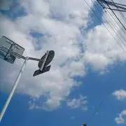 咲