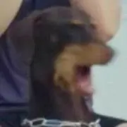 ユキ