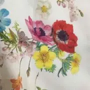 ふくちゃんの画像