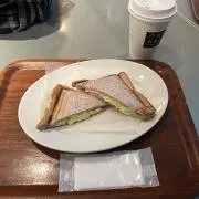 めだかの画像