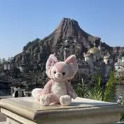 yyyの画像