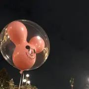 Eプロフ確認⚠️の画像