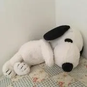 mimaの画像