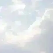 ‏‏の画像
