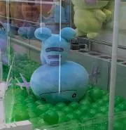 るるの画像