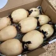れんこんキングの画像