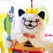 コリンキーの画像