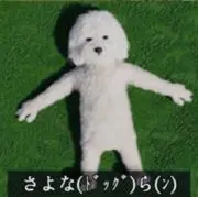 英高ジャージ パンツ Mサイズ EIKO!GO!! 狩野英孝 英高ジャージ パンツ Mサイズ EIKO!GO!! 狩野英孝 - メルカリ