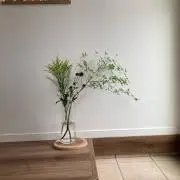 l⭐︎nの画像