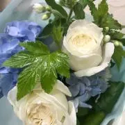 みんみん