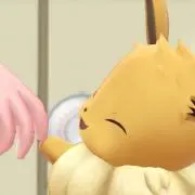 こむぎの画像