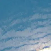 minoriの画像