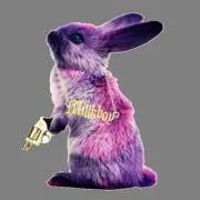 § 黒蜜糖 feat.Rabbits §