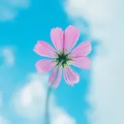 ❀Yuu❀