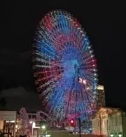 オレンジの画像