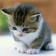 べーむくーへんの画像